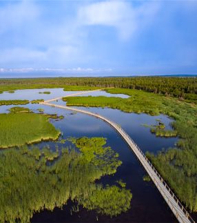 Aerial View of Park Pond Floating Dock Walkway