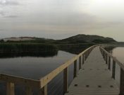 Long dock extending across wetlands