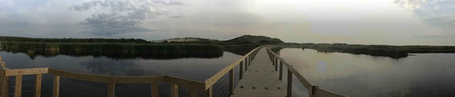 Long dock extending across wetlands