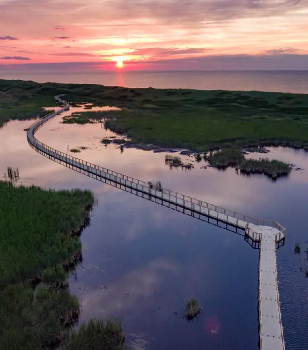 Gran plano de un largo puente flotante que atraviesa tranquilos humedales, con una puesta de sol costera como telón de fondo.