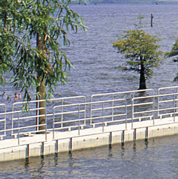 Muelle flotante con árboles en el agua