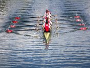 A rowing team of eight people paddling in unison through a calm lake