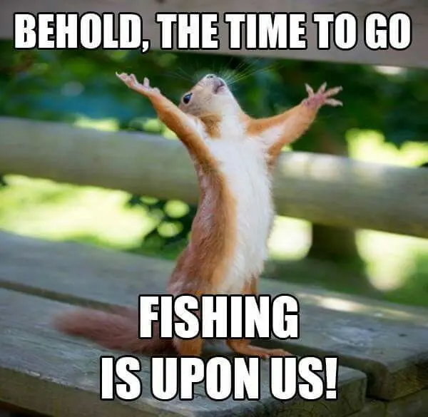 Fishing Meme Times