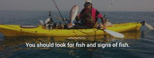 You should look for fish and signs of fish