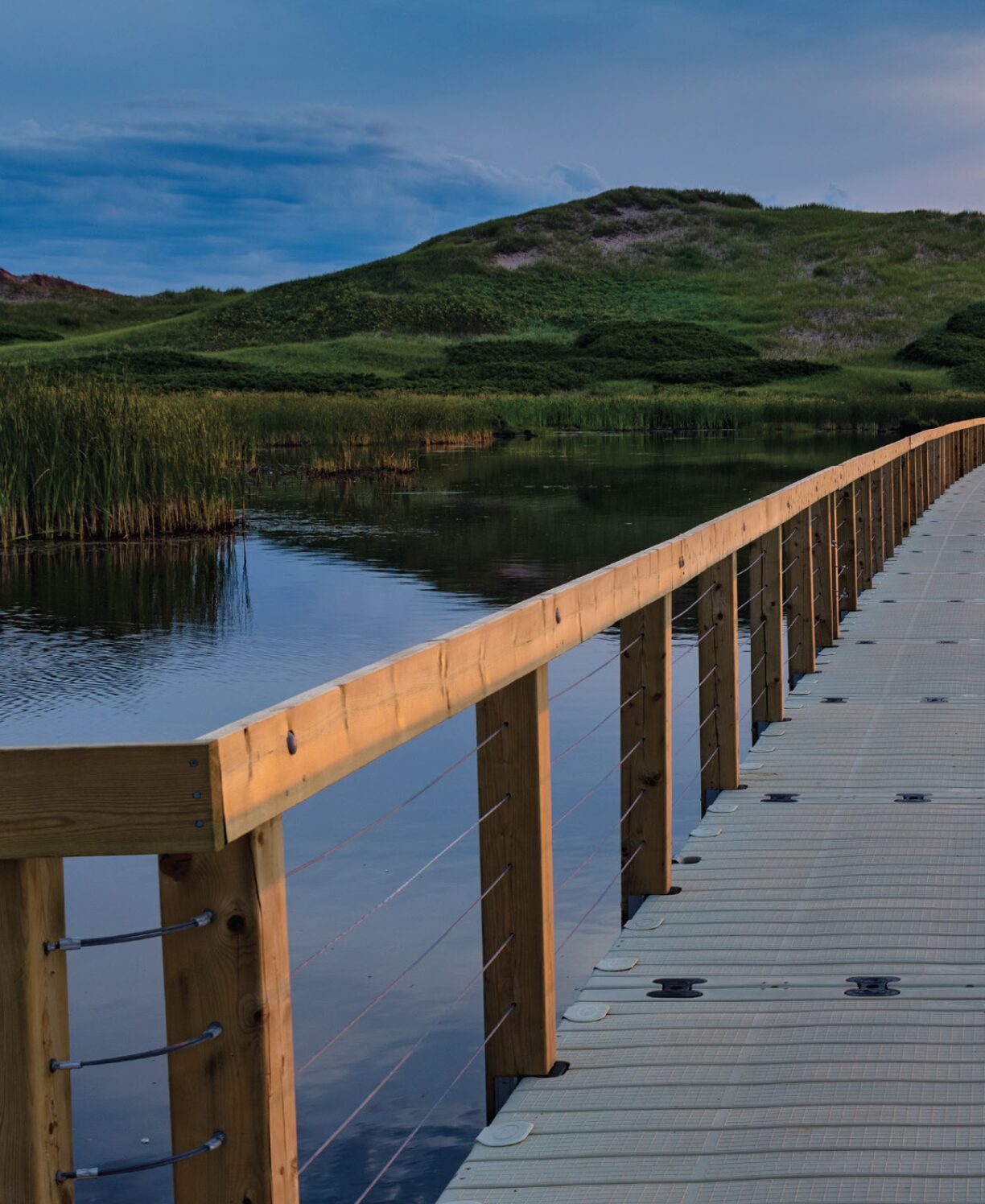 dock located in a tranquil park