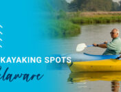 Best Kayaking Spots in Delaware