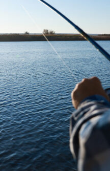Fishing Regulations in Tennessee: What Every Angler Should Know