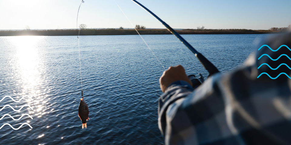 Fishing Regulations in Tennessee: What Every Angler Should Know