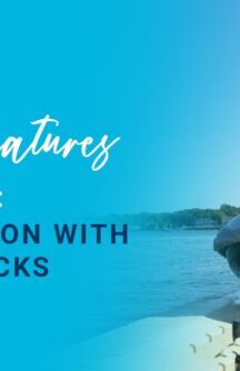 Safety Features of EZ Dock: A Comparison With Wooden Docks
