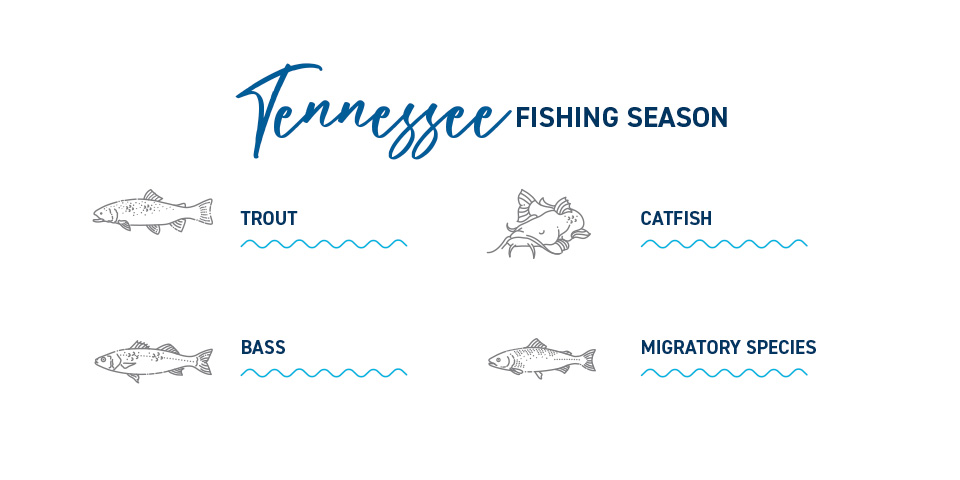 Tennessee Fishing Season