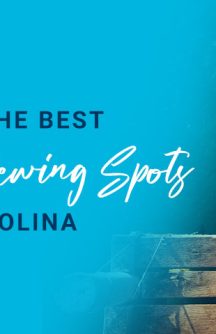 Navigating the Best Wildlife Viewing Spots in North Carolina
