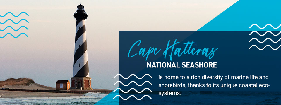 Cape Hatteras National Seashore