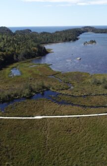 Floating walkway trail in national park marshlands