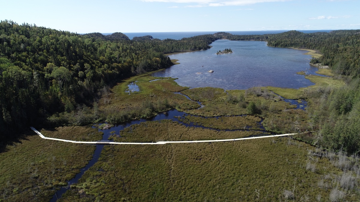 Floating walkway trail in national park marshlands