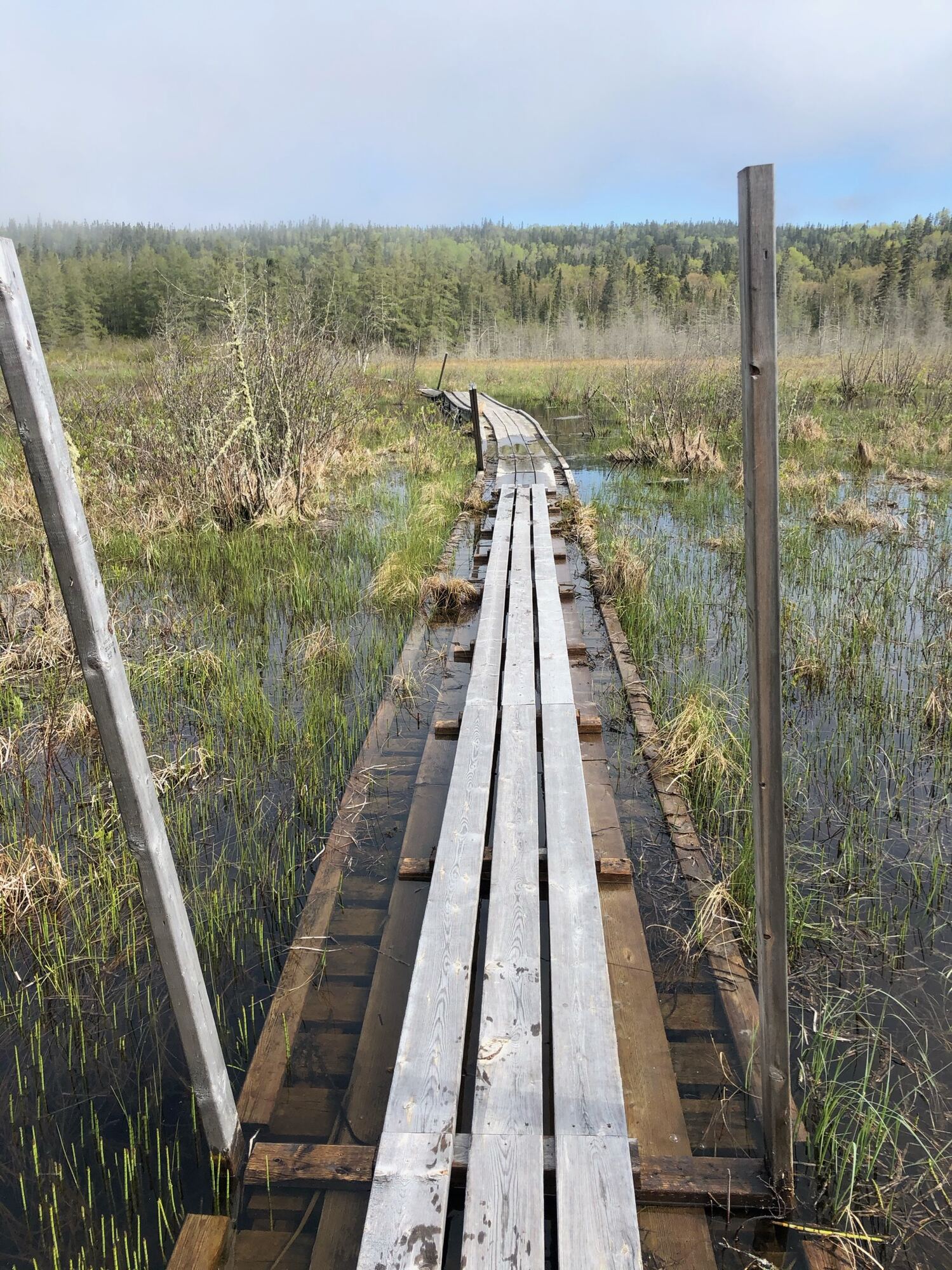 Antes: pasarela de madera en mal estado que atravesaba el humedal